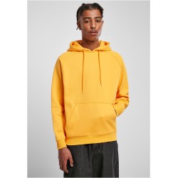 Blank Hoody